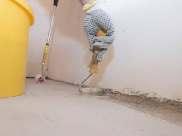 Best Pest Exclusion Services  in Bellefontaine, OH